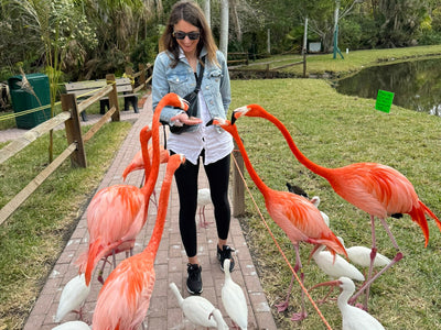 The Ultimate Guide to Sarasota with Kids