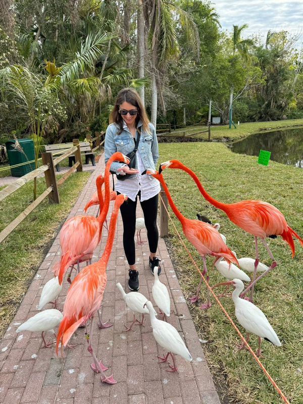 The Ultimate Guide to Sarasota with Kids