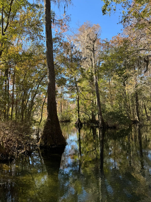Northwest Florida Family Adventure: Kid-Friendly Itinerary