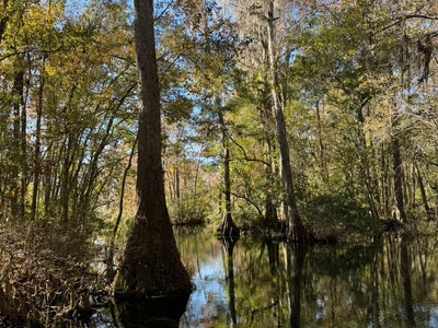 Northwest Florida Family Adventure: Kid-Friendly Itinerary