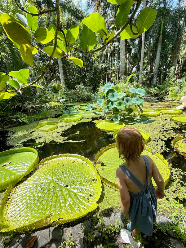 Vero Beach with Kids: The Ultimate Family Guide to Florida's Treasure Coast