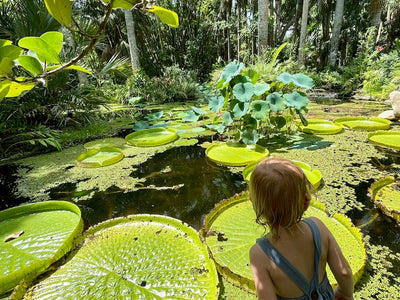 Vero Beach with Kids: The Ultimate Family Guide to Florida's Treasure Coast