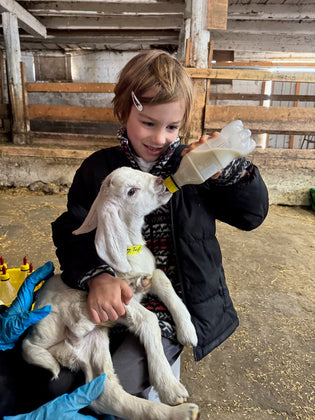  boy bottle-feeding milk to baby goat at a goat farm near Toronto