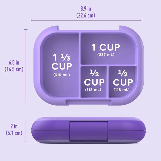 Bento Box with Built-In Ice Pack