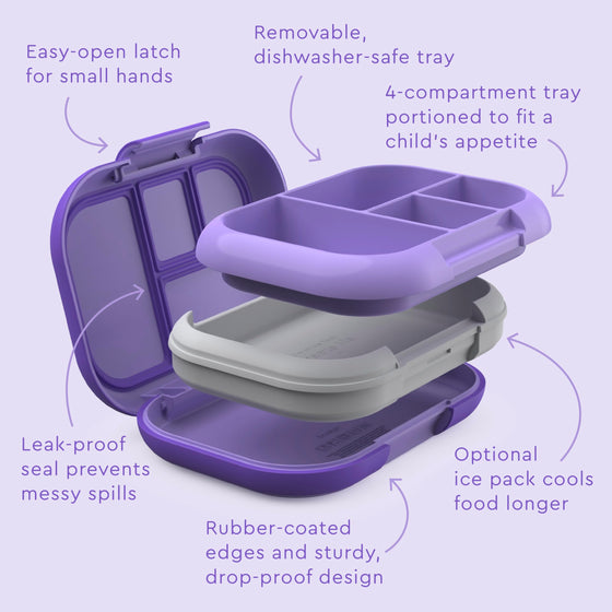 Bento Box with Built-In Ice Pack