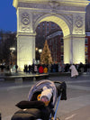 Christmas in NYC With Kids: Digital Guide (2025 Edition)