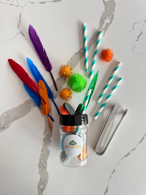 Spice Jar Pom Pom Activity